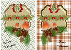 Robin's Christmas