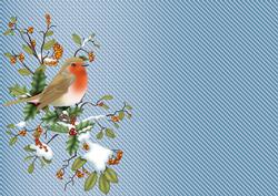 Christmas Robin A4 Background