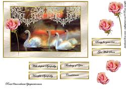 Swan Lake Sympathy