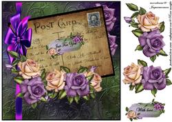 Vintage Postcard Heritage Roses