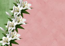 A4 Background Vintage Lillies 2