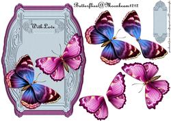 Butterflie Beauty with Love