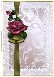 Background Lace and Roses