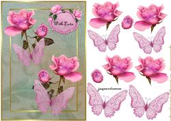 Roses and Butterflies