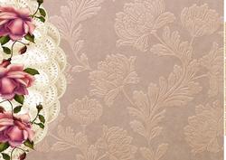 A4 Background Rose Lace and Damask Beauty