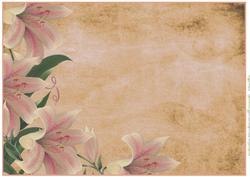 A4 Vintage Background Lillies