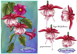Fuchsia Beauty Oriental