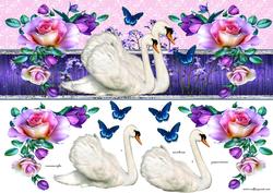 Swans and Roses Large Dl Card