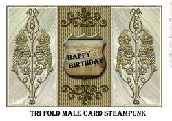 Trifold Male Card Steampunk