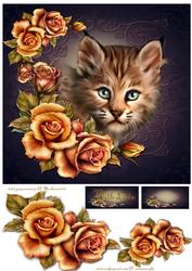 Little Bob Loves Roses -