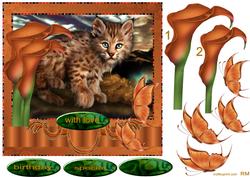 Little Bob Loves Butterflies and Lillies -
