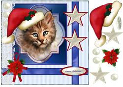 Little Bob's Christmas