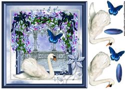 Swan Bleu Wonder