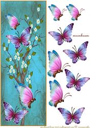 Large Dl Card Oriental Butterflies