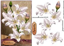 Sympathy Lillies