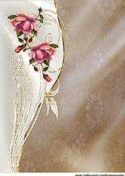 Roses Beauty A4 Background