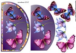 Butterflie Beauty