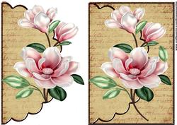Envelop Beautiful Camelia