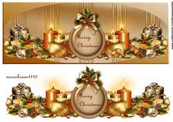 Large Dl Card Christmas