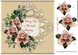 Cream/pink Antique Roses 2