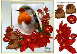 Red Robin