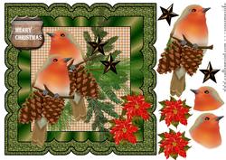 Robin's Christmas Wishes