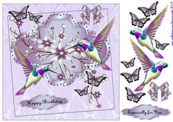 Butterflies and Hummingbirds