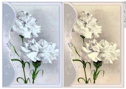 Vintage Carnations
