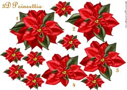 3D Christmas Poinsettia