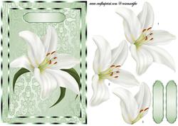 Lillies in Green