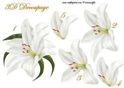 3D Decoupage Lily