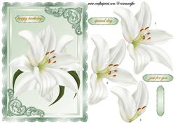 Lilies in Green 2