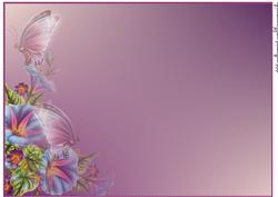 A4 Paradise Background