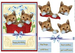 Cat's Wishes