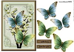 Oriental Butterflies
