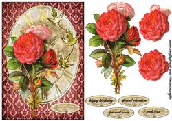 Vintage Roses