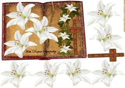 Book Sympathy Lilies