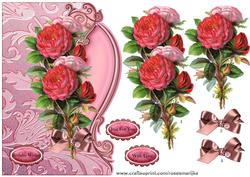 Antique Roses Over the Edge
