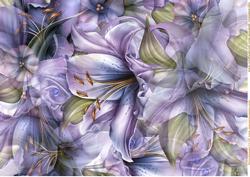 Background Bleu Lilies