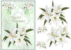 Birthday Lilies