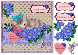 Kitten Forget Me Not