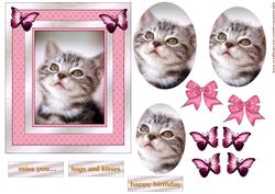 Miss You - adorable Kitten -
