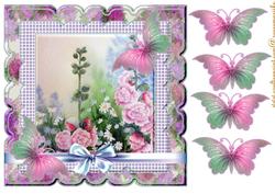 Scallop Butterflie and Garden