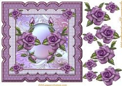 Scallop Heritage Roses