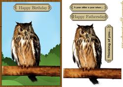 Wise Owl Birthday Male Card
