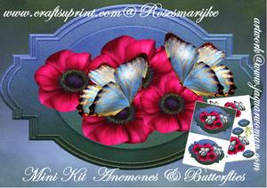 Mini Kit Anemones and Butterflies
