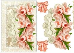 Lace and Blossoms in Peache/ Pink