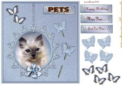 Pets Are Family Too!