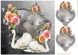 Swan and Roses