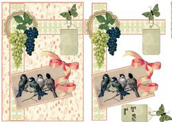 Vintage Beautiful Birds